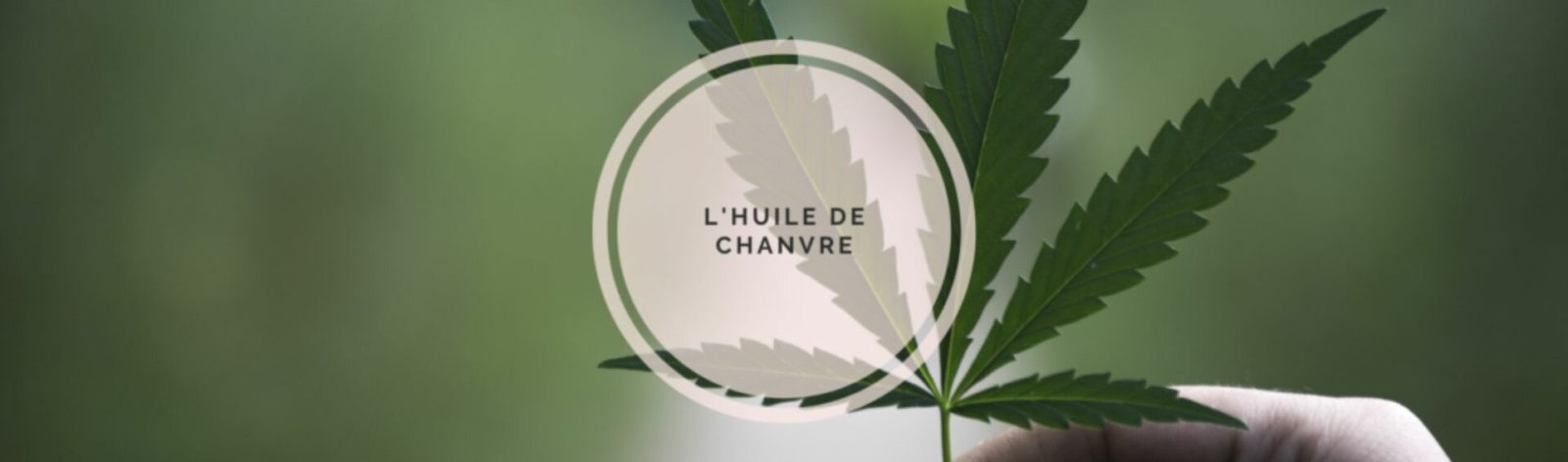 information sur l'huile de chanvre en cosmétique