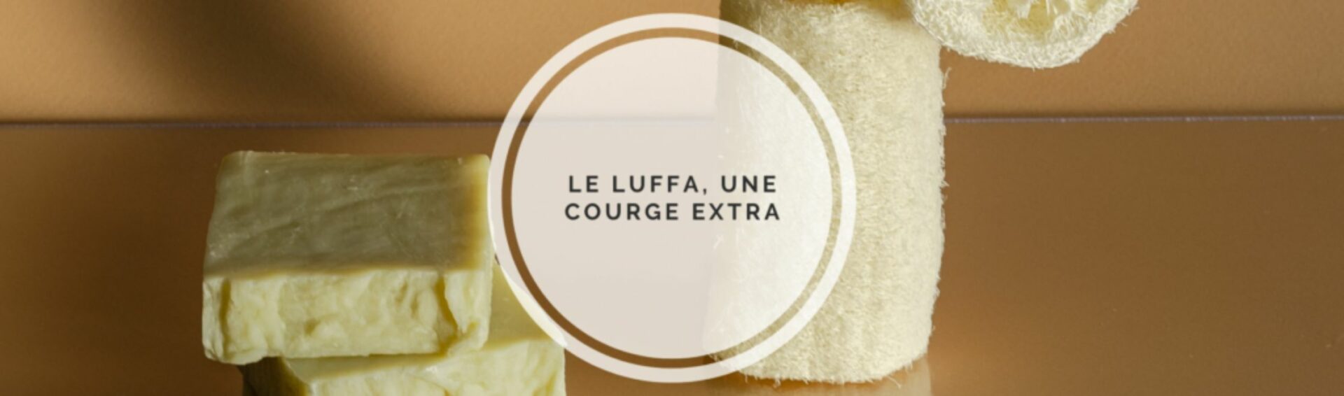 luffa une courge extra