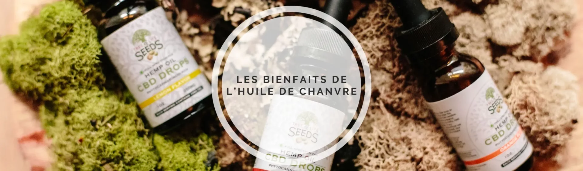 Les merveilleux bienfaits de l&rsquo;huile de chanvre : un trésor de notre exploitation agricole