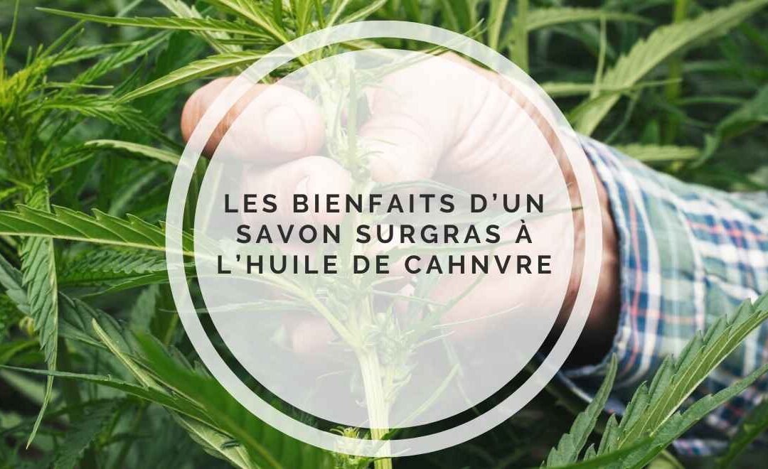 Comprendre le savon surgras à l&rsquo;huile de chanvre : un trésor pour votre peau.