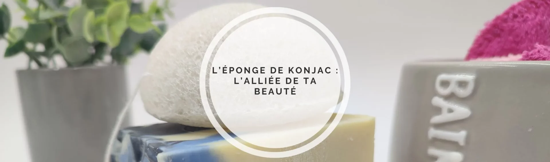 Découvrez les éponges de konjac : votre allié beauté naturel