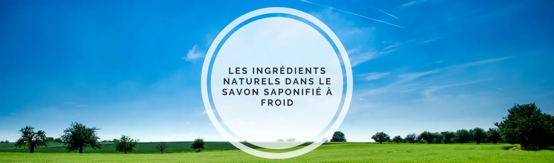 Les ingrédients naturels dans le savon saponifié à froid.