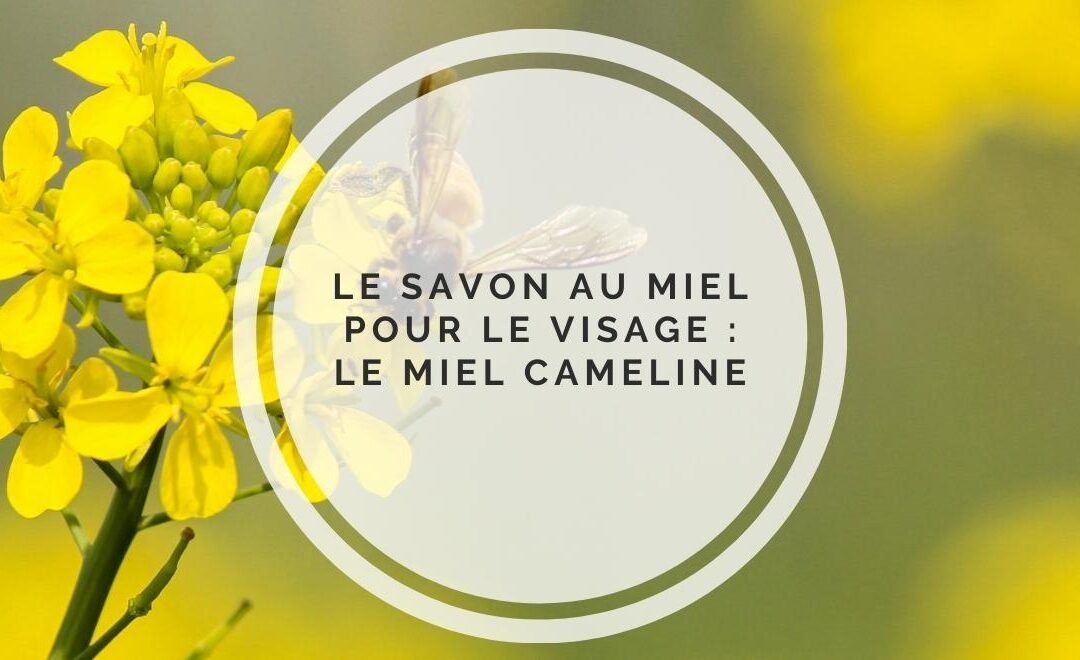 Le savon au miel pour le visage : le miel cameline