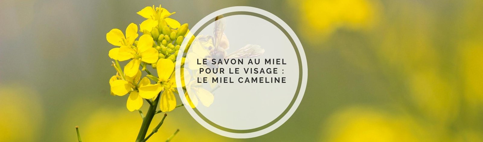savon au miel pour le visage