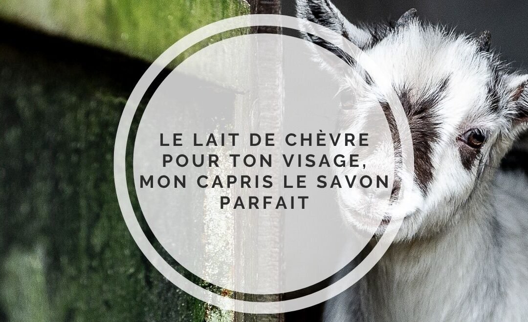 Goat milk soap for the face: My capris