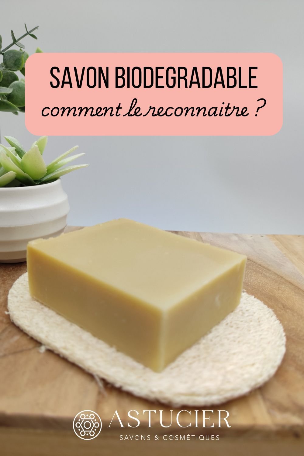savon biodegradable 